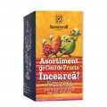 INCEARCA Asortiment de Ceai de Fructe eco 20 plicuri