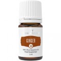 Ghimbir 5 ml