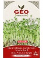 Kale 6g