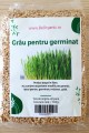 Grau Bio pentru culturi de germeni 500g