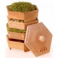 GEO TERRADISIENA Germinator din Teracota