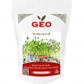 Broccoli rabe seminte pentru germinat 500g